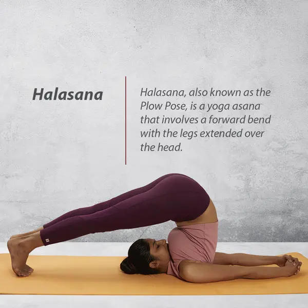 Halasana Yoga Asana at Renuka Yoga Studio Gurgaon