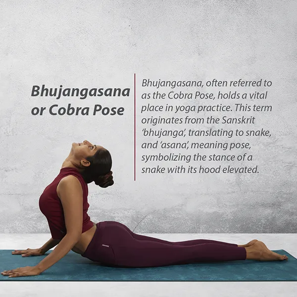 HOW TO PRACTICE BHUJANGASANA \ COBRA POSE AND BENEFITS OF BHUJANGASANA \ COBRA  POSE Bhujangasana [ https://yogfuns.blogspot.com/2020/12/bhujangasana-yoga- cobra-pose-benefits.html ] is the Sanskrit name for a famous yoga asana,  also called Cobra Pose -